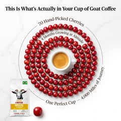 Goat Coffee Brazil Cerrado Ground Coffee 1kg | Medium Roast