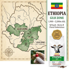 Goat Coffee Ethiopia Guji Coffee Beans 1kg | Medium Roast