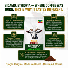 Goat Coffee Ethiopia Sidamo Ground Coffee 1kg | Medium Roast
