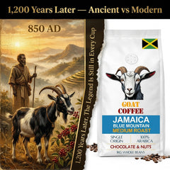 Goat Coffee Jamaica Blue Mountain Coffee Beans 1kg | Medium Roast