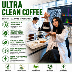 Pure Bloom Clean Brazil Coffee Beans 1kg