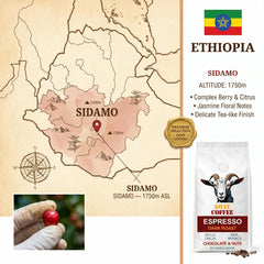 Goat Coffee Ethiopia Sidamo Coffee Beans 1kg | Dark Roast