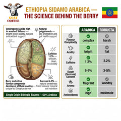 Goat Coffee Ethiopia Sidamo Ground Coffee 1kg | Medium Roast