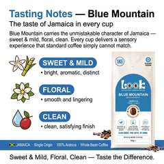 Look Coffee Blue Mountain Clean Coffee Beans 1kg | Medium Roast