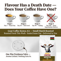 Goat Coffee Kenya AA Coffee Beans 1kg | Medium Roast