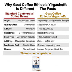 Goat Coffee Ethiopia Yirgacheffe Coffee Beans 1kg | Medium Roast