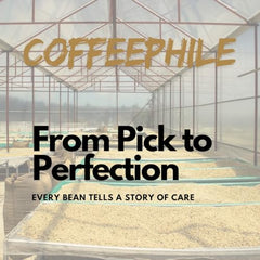 Coffee Phile Decaf Filter Coffee 1kg