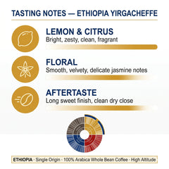 Goat Coffee Ethiopia Yirgacheffe Coffee Beans 1kg | Medium Roast