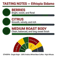 Goat Coffee Ethiopia Sidamo Coffee Beans 1kg | Medium Roast