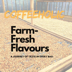 Coffeeholic Colombia Coffee Beans 1kg | Dark Roast