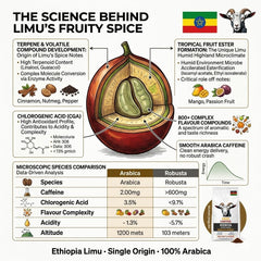 Goat Coffee Ethiopia Limu Ground Coffee 1kg | Medium Roast