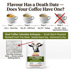 Goat Coffee Colombia Antioquia Coffee Beans 1kg | Medium Roast