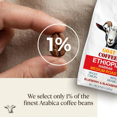 Goat Coffee Ethiopia Harrar Ground Coffee 1kg | Medium Roast